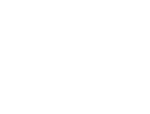Pronova Logo